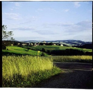 St. Märgen: Kornfeld bei St. Märgen