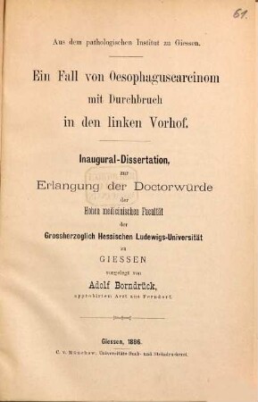 Ein Fall von Oesophaguscarcinom mit Durchbruch in den linken Vorhof