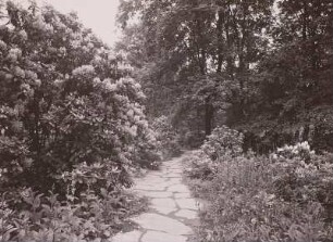 Großer Garten : Großer Garten, Reichsgartenschau, im Rhododendronhain