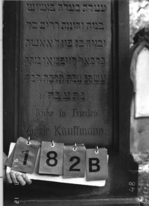 Grabstein 182 [Hahn S. 55 Grab-Nr. 1448]: Grabstein 182B [Hahn S. 55 Grab-Nr. 1448]
