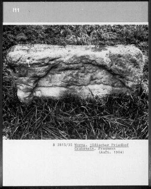 Fragment eines Grabsteins