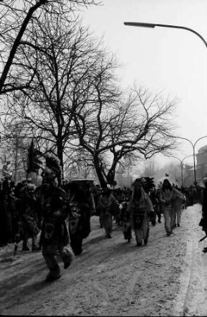 Freiburg: Freiburger Rosenmontagsumzug