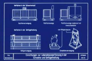 Einrichtungen zur Lebendmasseerfassung in der Schweine-und Geflügelhaltung