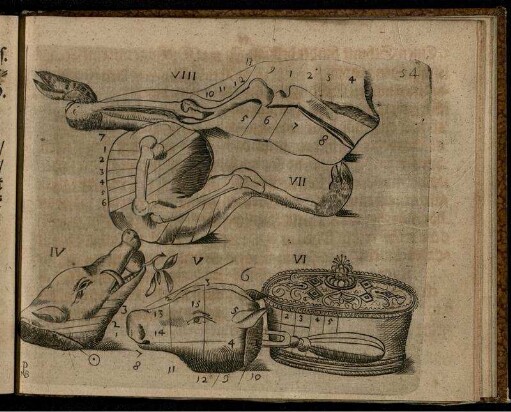 Abbildung Num. IV zum Schwein, Num. V zum Kalb, Num. VI zur Pastete, Num. VII und VIII zum Reh