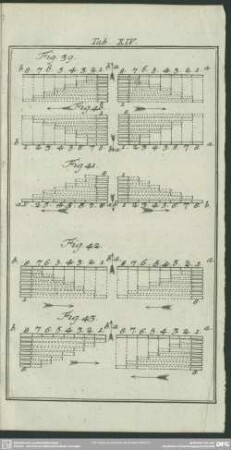 Tab. XIV.