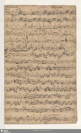 Cantatas - Mus.3602-E-532 : V (X), Coro, orch