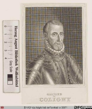 Bildnis Gaspard II de Coligny, seigneur de Châtillon