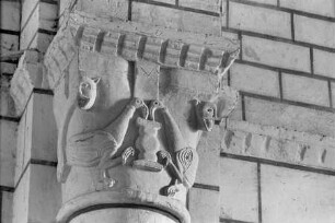 Vögel und Masken