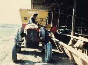 Fotografie: Fütterungstechnik, Futtervorlage, Futtermischwagen