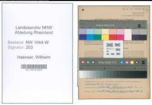 Entnazifizierung Wilhelm Haenser , geb. 31.08.1894 (Gemeinderat)