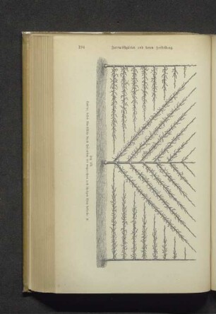 Fig. 178. Spalier, dessen Wandfläche durch Palmetten mit waagerechten...