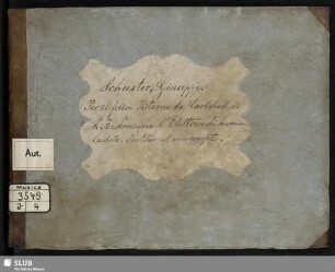 Dalle romite balze - Mus.3549-J-4 : A, orch