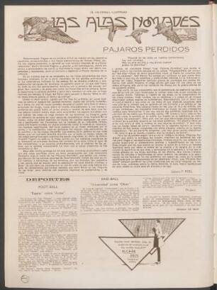 Las alas nómades : Pájaros perdidos