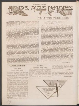 Las alas nómades : Pájaros perdidos