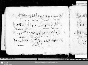 7 Anonymus: Ecce Maria genuit