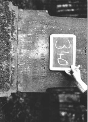 Grabstein 340 (Index: 99895729) Material: Sandstein Zustand: gut Maße HxBxT: 171x53x21 cm Beschreibung: Stele mit eingezogenem, überkragendem Bogenabschluss; Sockel Symbolik: Blumenkorb: Grabstein 340 (2)