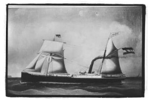 Delphin (1871), Neptun