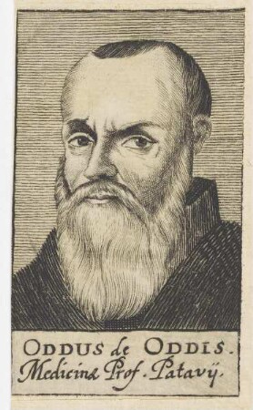 Bildnis des Oddus de Oddis