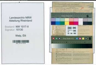 Entnazifizierung Elli Welp , geb. 20.03.1912 (Angestellte)