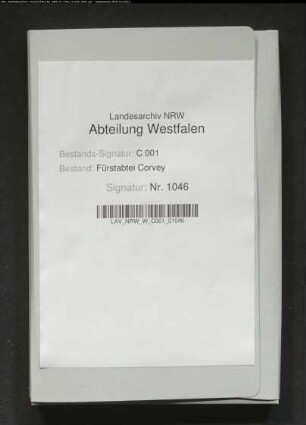 Erwerb und Vergleiche über den Meierhof Frohböse zu Amelunxen