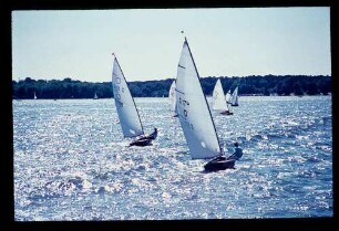 Tegeler See 30.6.68.