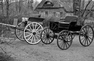 Matthiesen, Anne und Matthiesen, Hans-Gert: Kutschensammler: Dog-Cart und Amerikaner (Baujahr 1921)