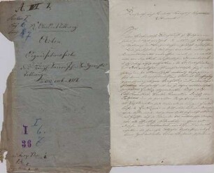 Militärische Okkupation der Herrschaften Tettnang und Langenargen durch Kurpfalzbayern