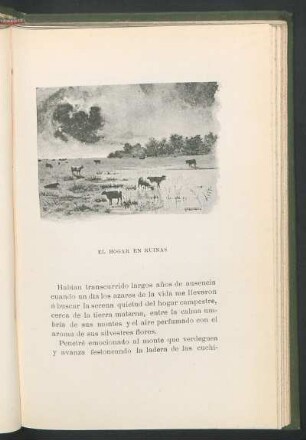 El hogar en ruinas