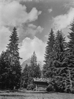 Hütte am Wald : Eine Holzhütte im Wald. Im Hintergrund Gebirge