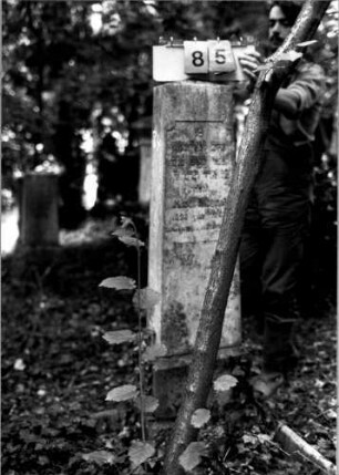 Grabstein 85 (Index: 100109470) Material: Sandstein oder Marmor (?), Sockel Kalkstein Zustand: gut Maße HxBxT: 138x32x14 cm Beschreibung: Obelisk, getreppter Sockel, unterer Sockelteil rustica Besonderheit: Nummer auf Rückseite: 199: Grabstein 85