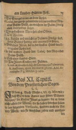 Das XI. Capitel. Von dem Priesterlichen Segen
