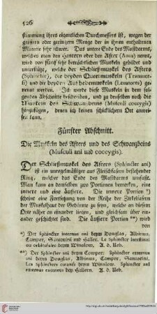 Fünfter Abschnitt: Die Muskeln des Afters und des Schwanzbeins (Musculi ani und coccygis)