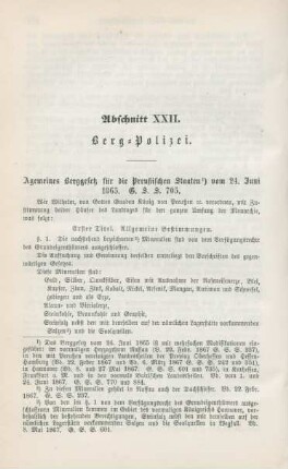 Abschnitt XXII. Berg-Polizei