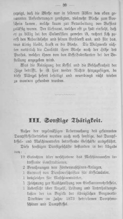 III. Sonstige Thätigkeit