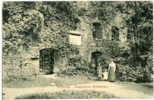 Grimma. Klosterruine Nimbschen