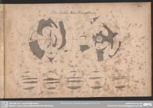 Die beiden Mars-Hemisphären. Jupiter