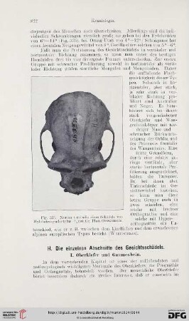 H. Die einzelnen Abschnitte des Gesichtsschädels