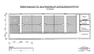 Kälbermaststall für Gruppenhaltung und Automatentränke (120 Kälber)