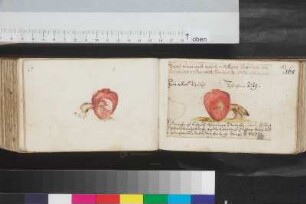 Krämer, Claudius; Blatt 165