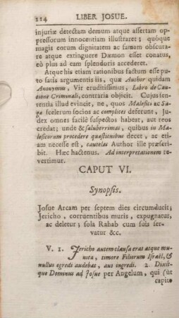 Caput VI. Synopsis.