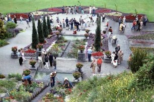 Mainau, Insel Mainau: Rosengarten, Gesamtansicht