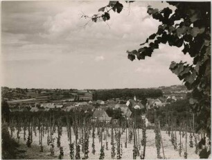 Wagenstadt