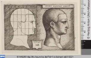Kopf eines Mannes im Profil nach rechts mit Proportionsstudie