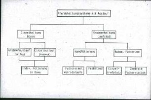 Übersicht: Pferdehaltung, Auslauf, Weidehaltung