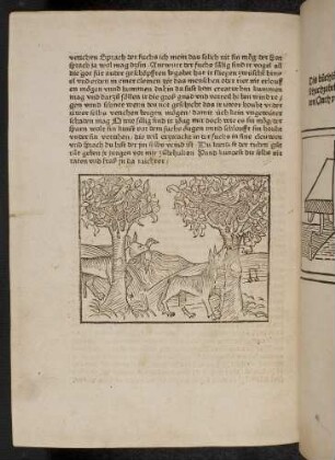 Der Fuchs frisst den Sperling; die Taube im Nest und der Fuchs; (Kapitel XVII: Von dem Sperling, der sich selbst nicht zu raten wusste).