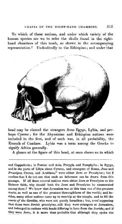 Ethiopian Skull