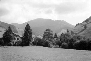 Untermünstertal: Ausblick vom Gasthaus zum Löwen zum Belchen