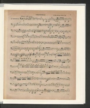 Violoncello.