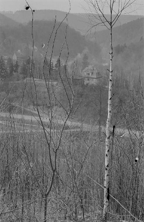 Blick in ein Tal, durch knospende Bäumchen hindurch