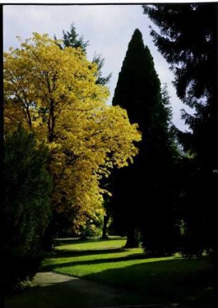 Baden-Baden: herbstlicher Bäume im Kurpark